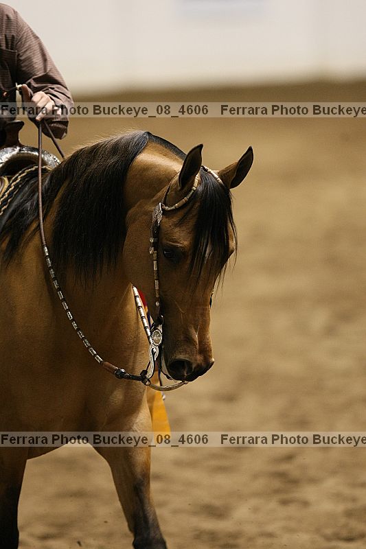 Proof buckeye_08_4606