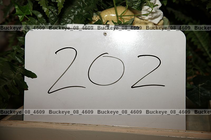 Proof buckeye_08_4609