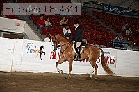 buckeye_08_4611 proof