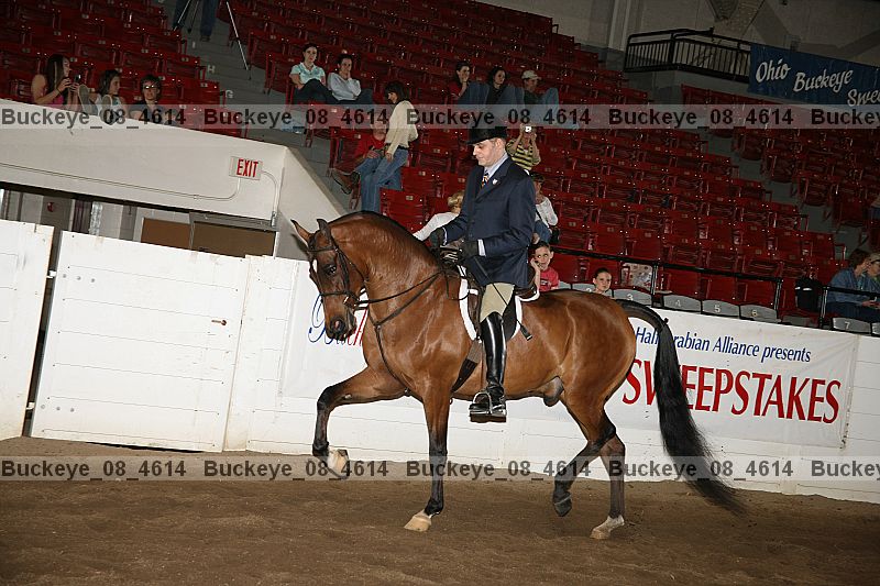 Proof buckeye_08_4614