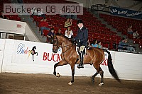 buckeye_08_4620 proof