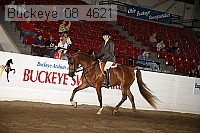 buckeye_08_4621 proof