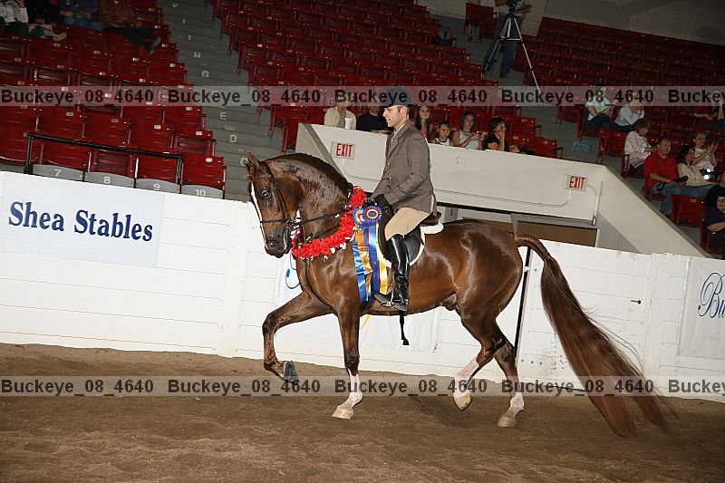 Proof buckeye_08_4640