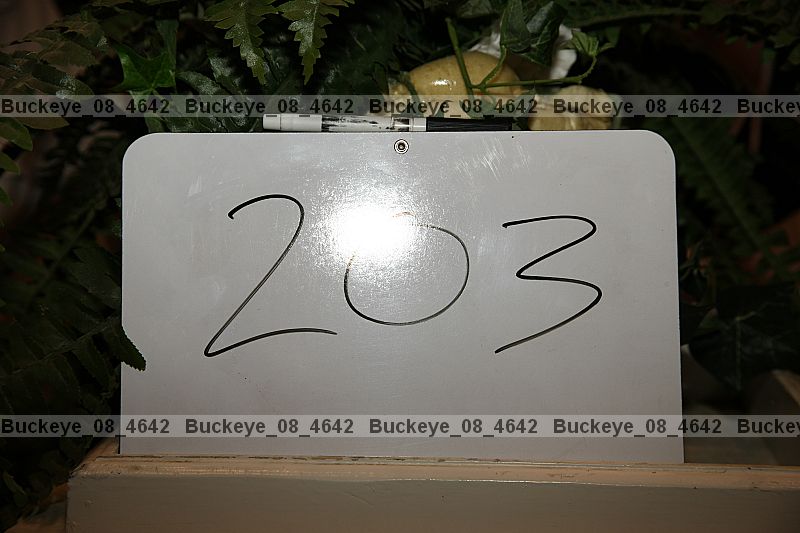 Proof buckeye_08_4642