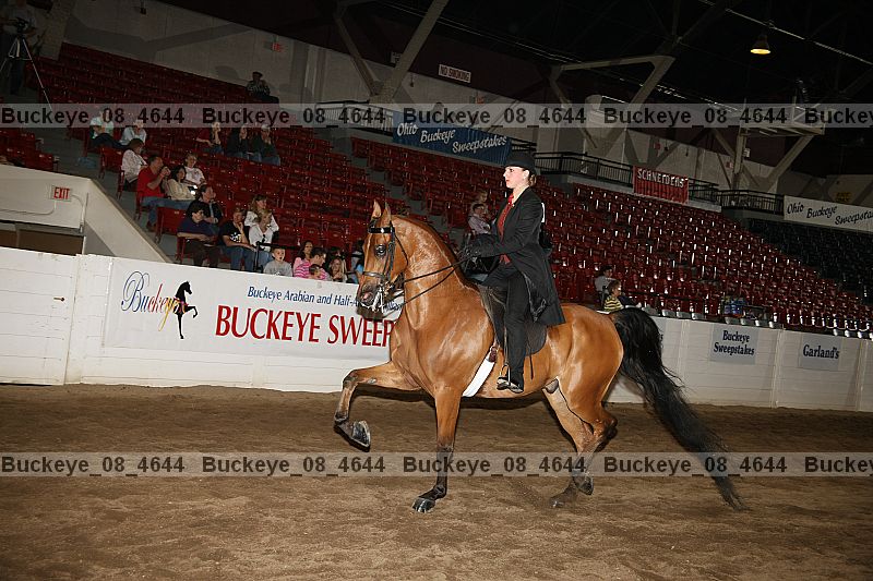 Proof buckeye_08_4644