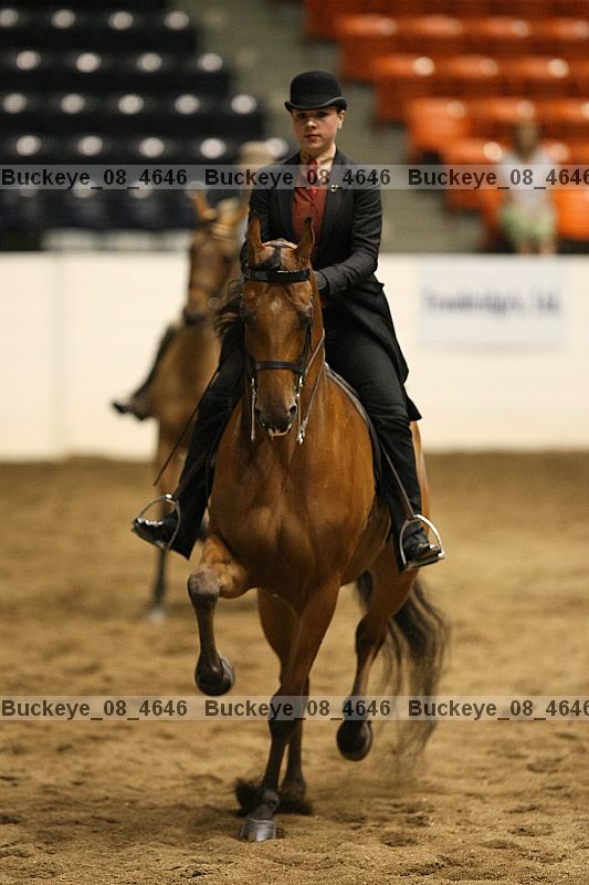Proof buckeye_08_4646