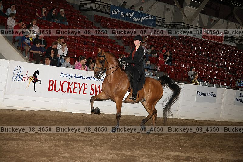 Proof buckeye_08_4650