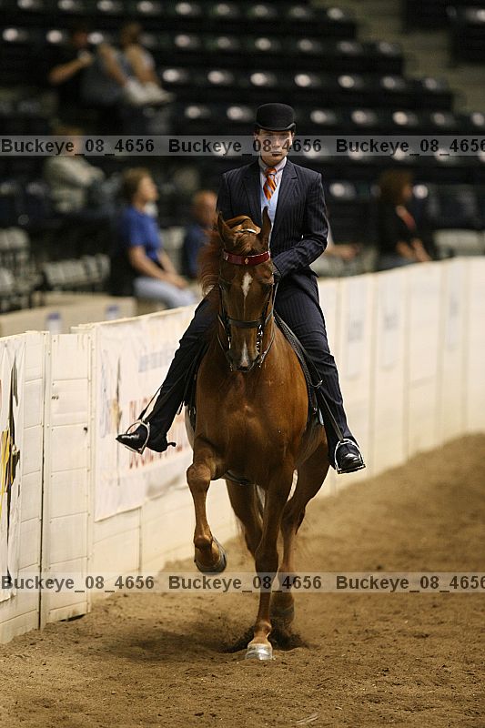 Proof buckeye_08_4656