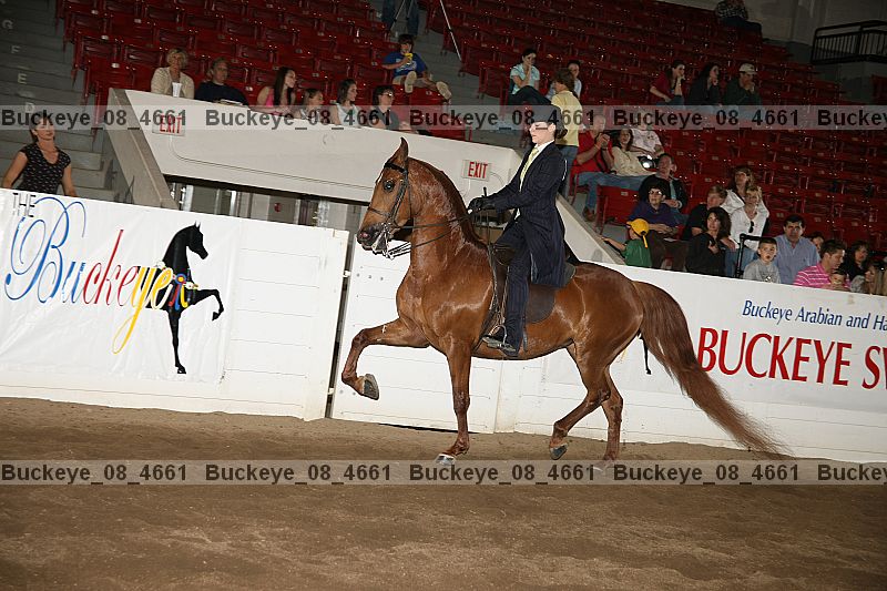 Proof buckeye_08_4661