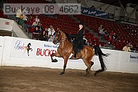 buckeye_08_4662 proof