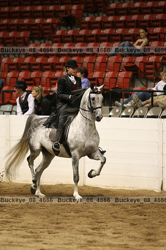 Proof buckeye_08_4666