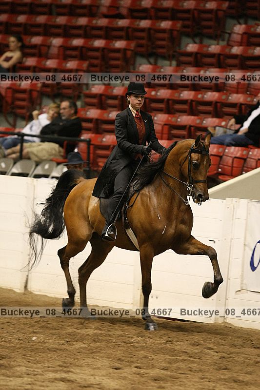 Proof buckeye_08_4667