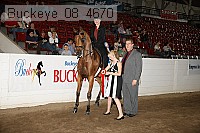 buckeye_08_4670 proof