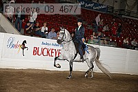 buckeye_08_4677 proof