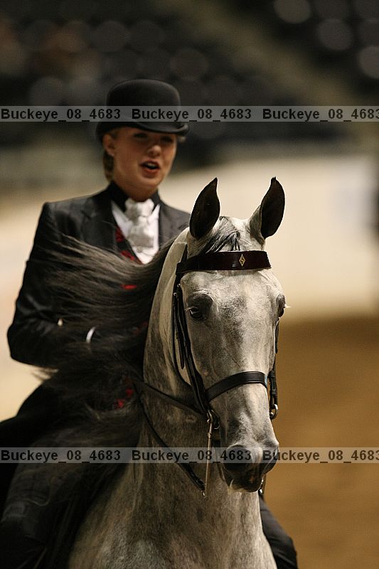 Proof buckeye_08_4683