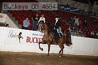 buckeye_08_4684 proof