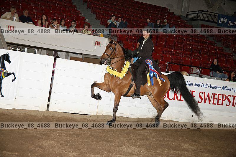Proof buckeye_08_4688