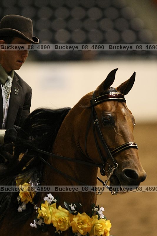 Proof buckeye_08_4690