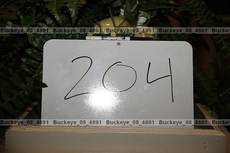 Proof buckeye_08_4691