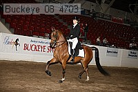 buckeye_08_4703 proof