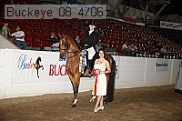 buckeye_08_4706 proof