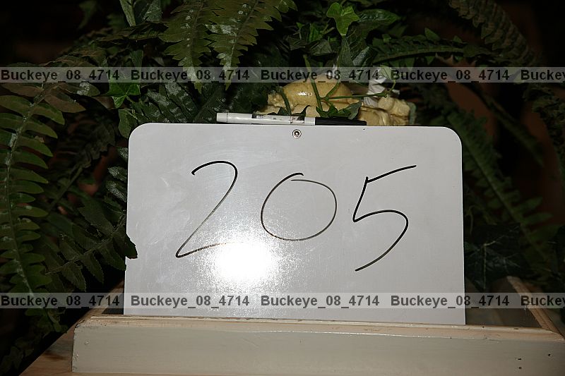 Proof buckeye_08_4714
