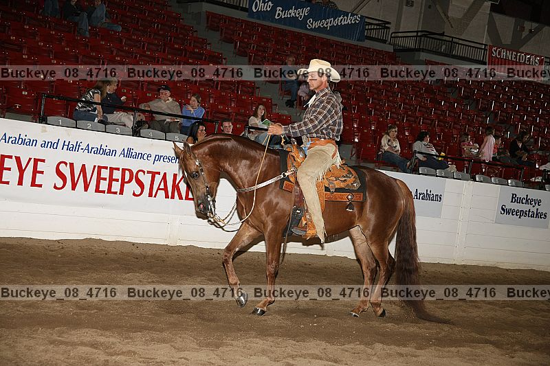 Proof buckeye_08_4716