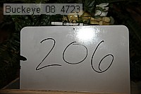 buckeye_08_4723 proof