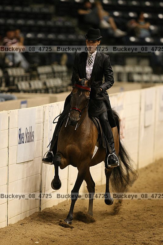 Proof buckeye_08_4725