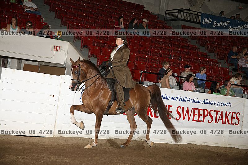 Proof buckeye_08_4728