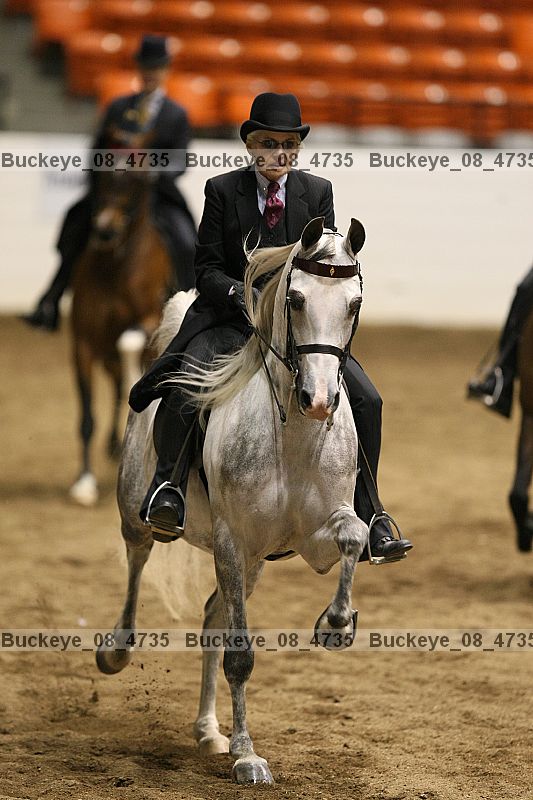 Proof buckeye_08_4735