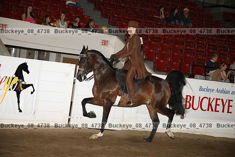 Proof buckeye_08_4738