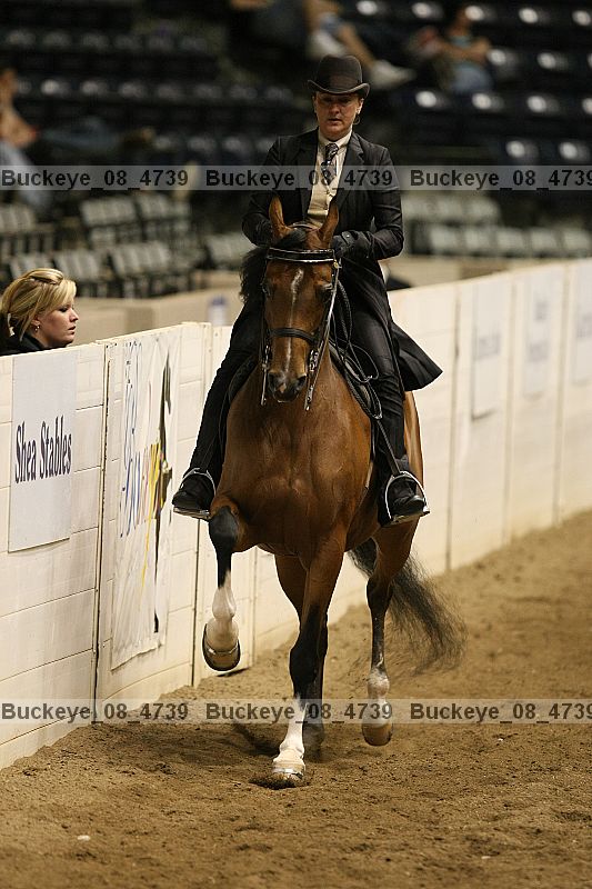 Proof buckeye_08_4739