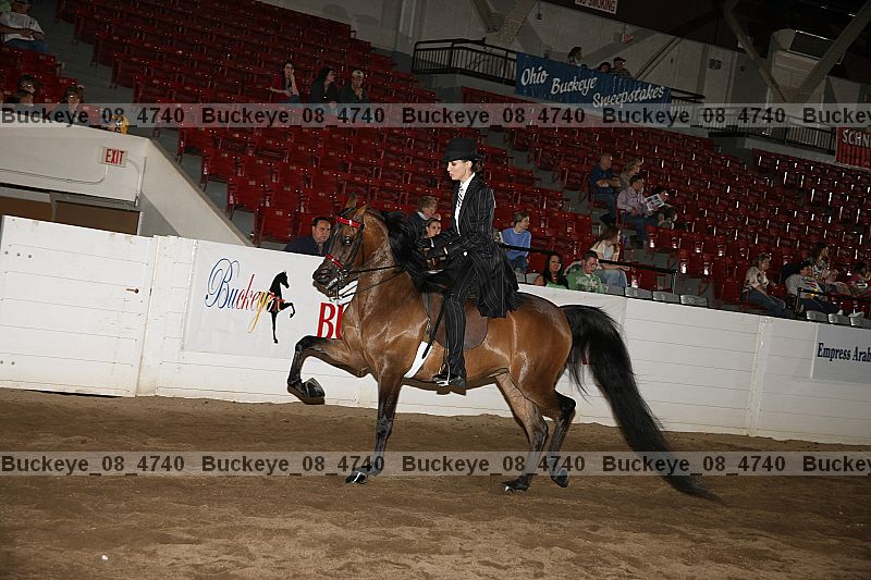 Proof buckeye_08_4740
