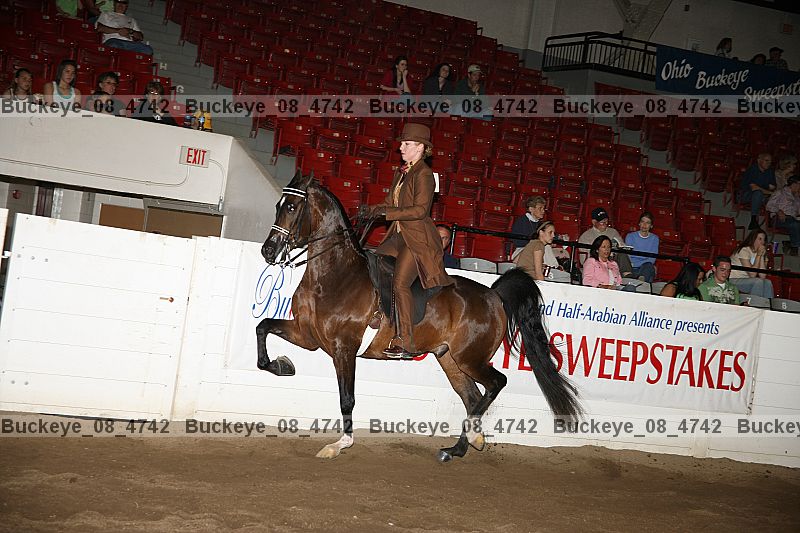 Proof buckeye_08_4742