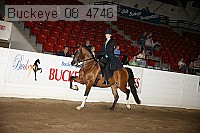 buckeye_08_4746 proof