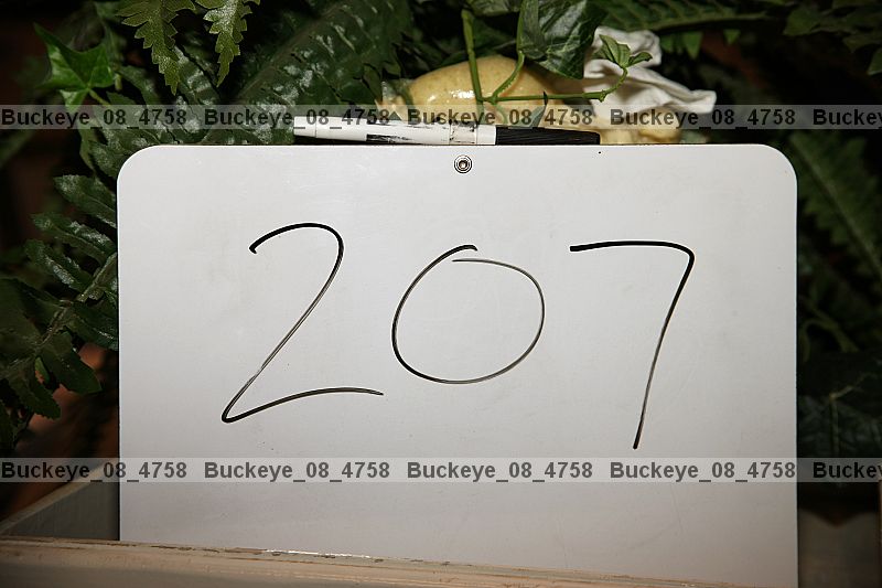 Proof buckeye_08_4758