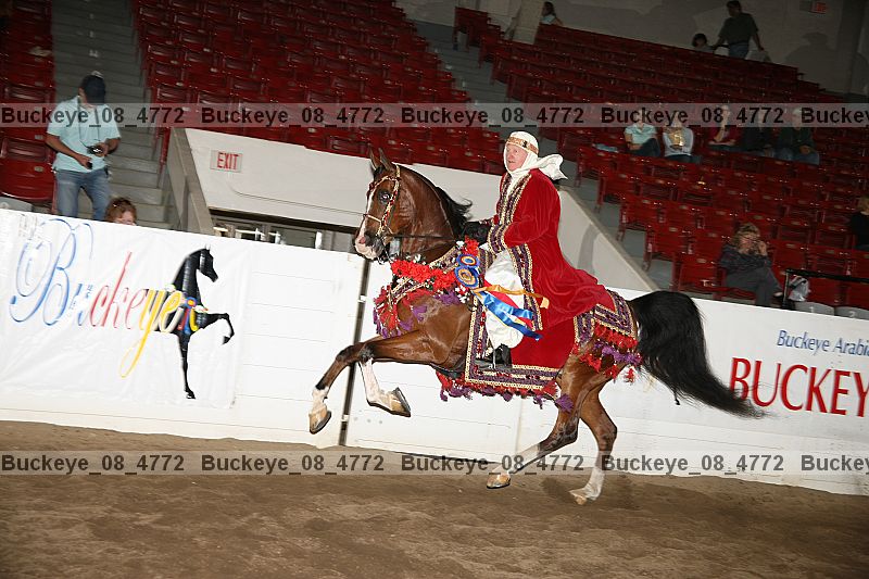 Proof buckeye_08_4772