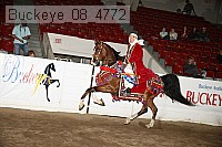 buckeye_08_4772 proof