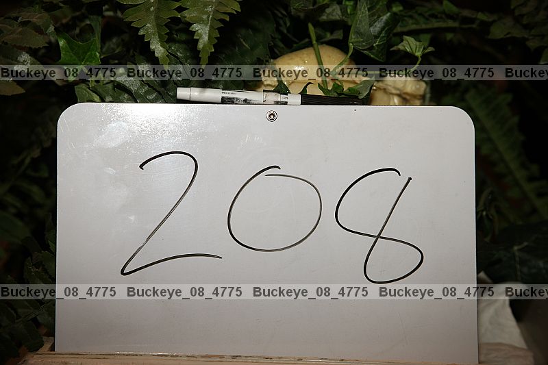Proof buckeye_08_4775