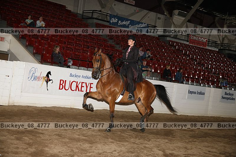 Proof buckeye_08_4777