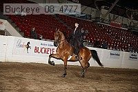 buckeye_08_4777 proof