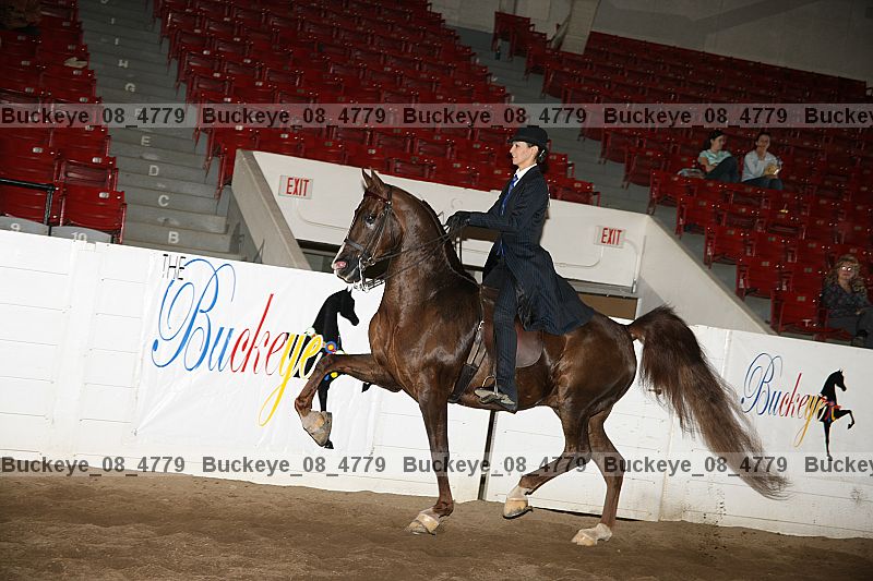 Proof buckeye_08_4779