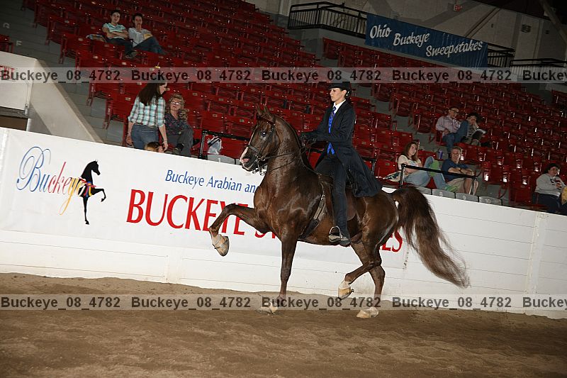 Proof buckeye_08_4782