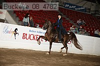 buckeye_08_4782 proof