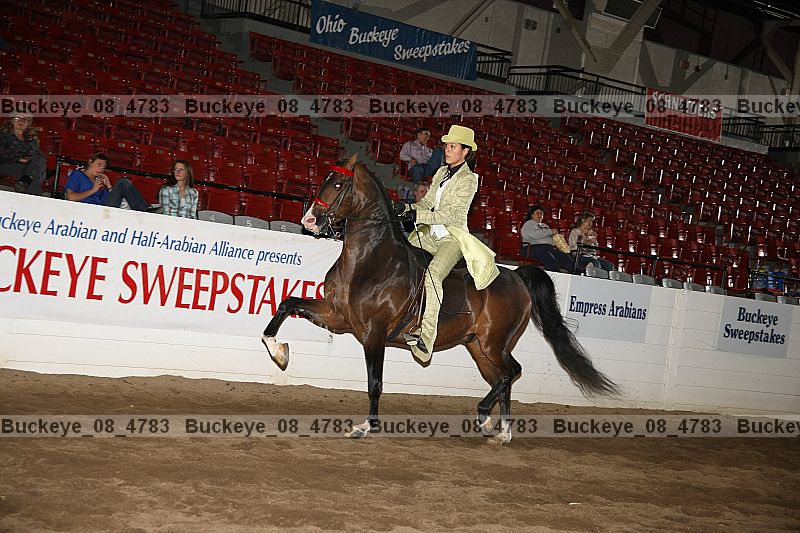 Proof buckeye_08_4783