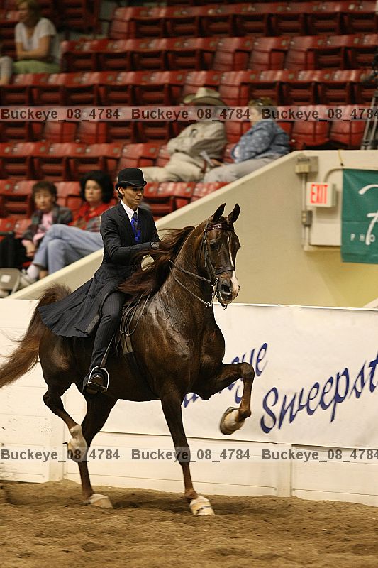 Proof buckeye_08_4784