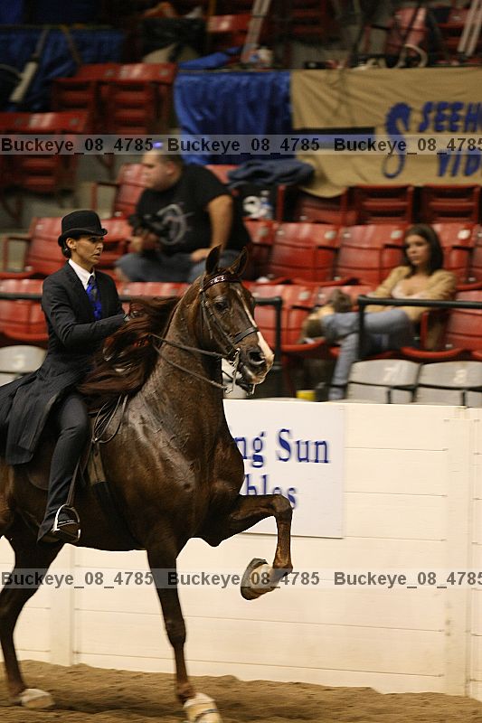 Proof buckeye_08_4785