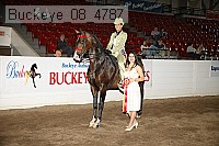 buckeye_08_4787 proof
