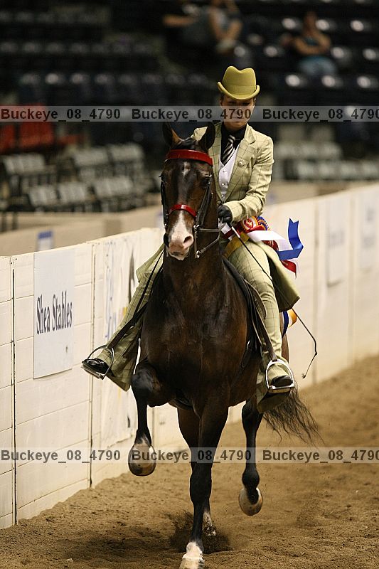 Proof buckeye_08_4790